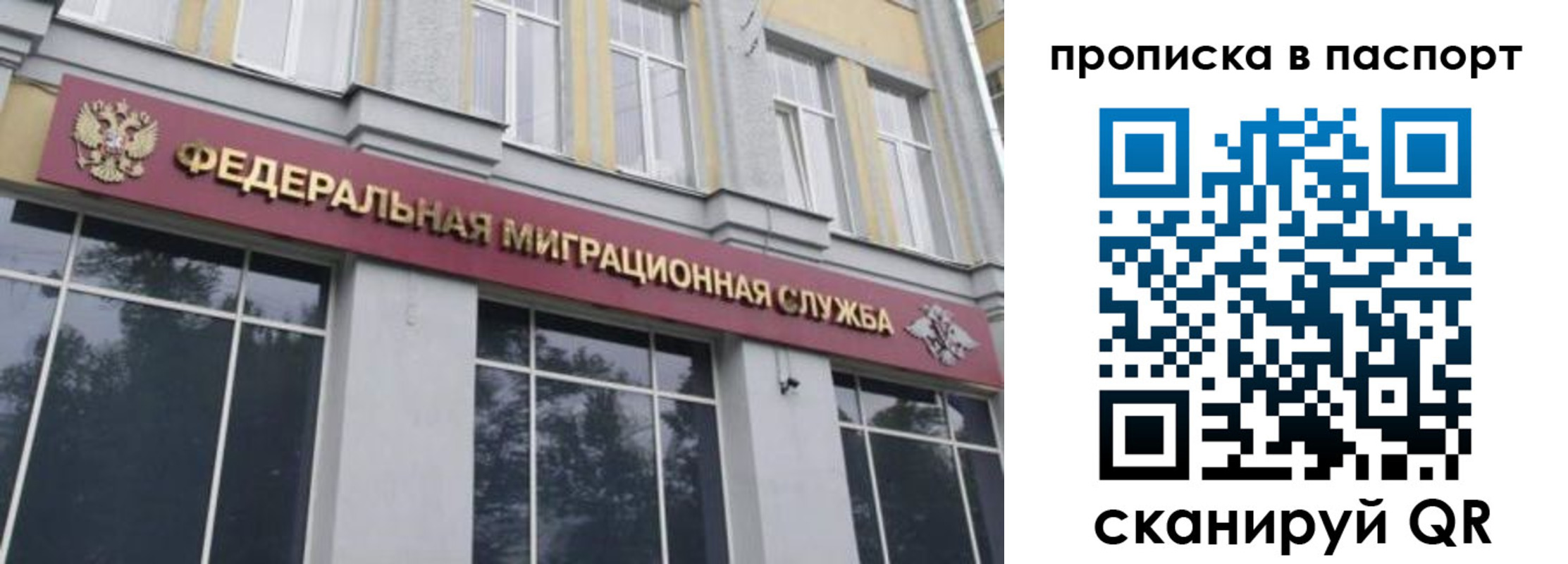 где прописаться в Ершове